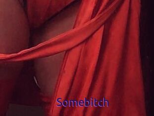 Somebitch