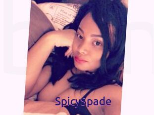 SpicySpade