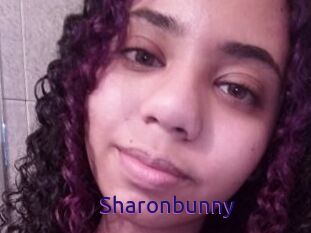 Sharonbunny