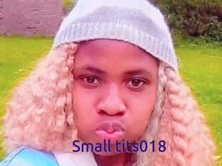 Small_tits018