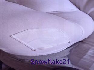Snowflake21
