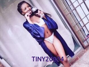 TINY20004