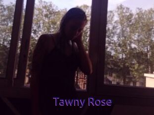 Tawny_Rose