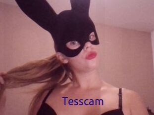 Tesscam