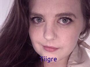 Tiigre_
