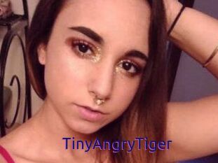TinyAngryTiger