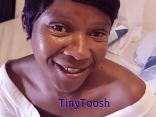 TinyToosh