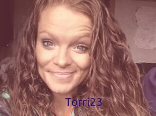 Torri23