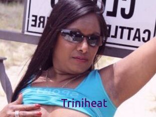Triniheat