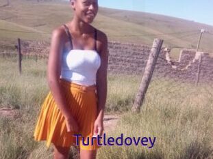 Turtledovey