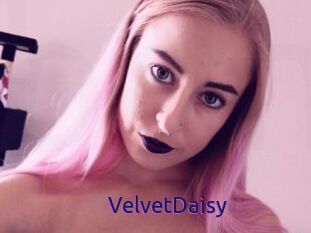 VelvetDaisy