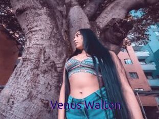 Venus_Walton
