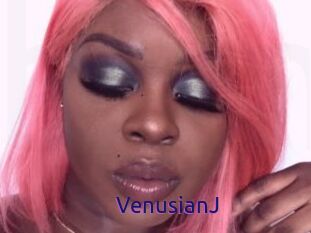 VenusianJ