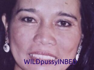 WILDpussyINBED