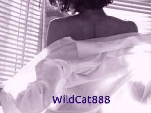WildCat888