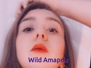 Wild_Amapola