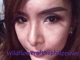Wildflowerofthephilippines