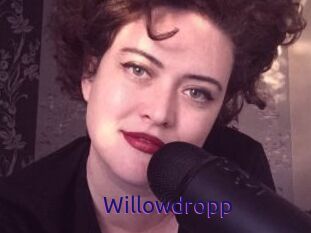 Willowdropp