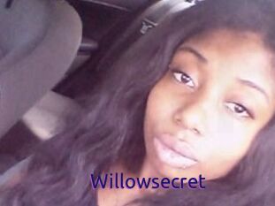 Willow_secret