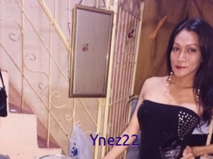 Ynez22