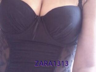 ZARA1313