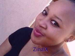 ZinziX