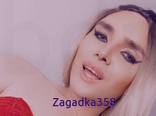 Zagadka358