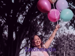 Zattinmartin